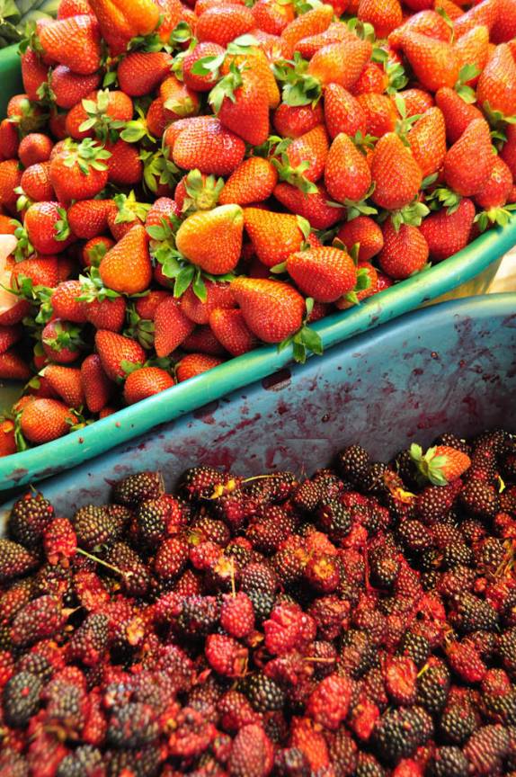Amoras e morangos no Mercado de Comidas de Otavalo, no Equador